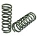 РИФ R51-425C пружины задние Nissan Pathfinder R51 +250 кг лифт 50 мм